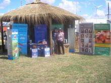 ExpoAgro6